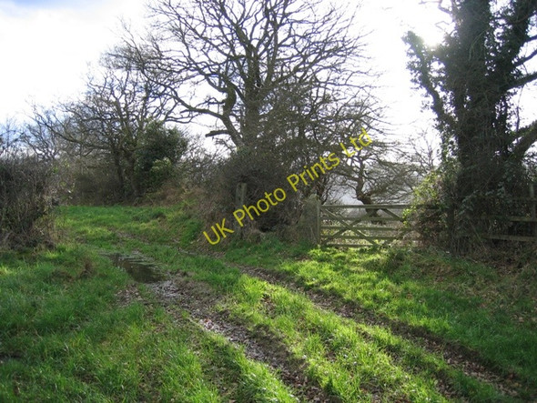 Photo 6"x4" A Gate through Wat's Dyke Penyffordd c2007