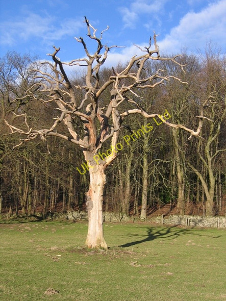 Photo 6"x4" A shadow of its former self Pontblyddyn c2007