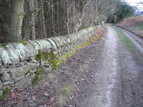 Photo 6"x4" Stone Wall at Gwysaney Cefn-eurgain c2007