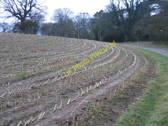 Photo 6"x4" Farmland around Gwysaney Cefn-eurgain c2007