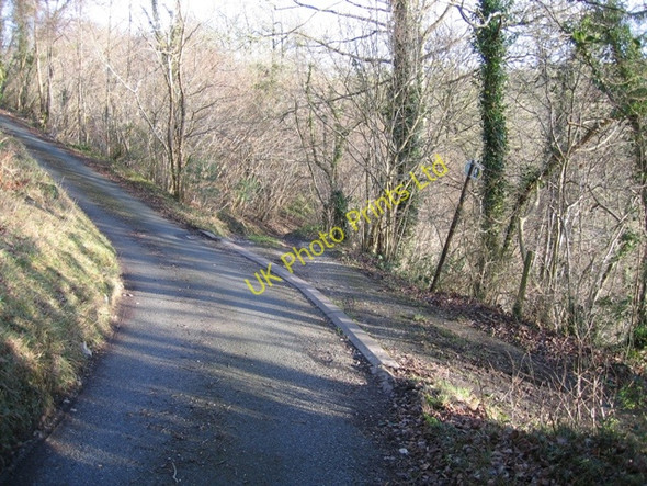 Photo 6"x4" Road Track Junction in Nant Alyn Nant Alyn c2007