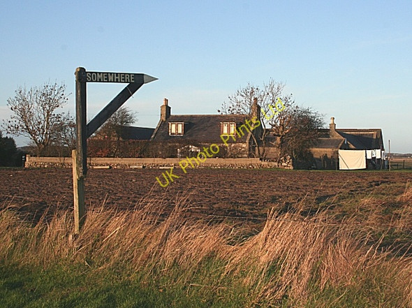 Photo 6"x4" Signpost to Somewhere Crimonmogate c2007