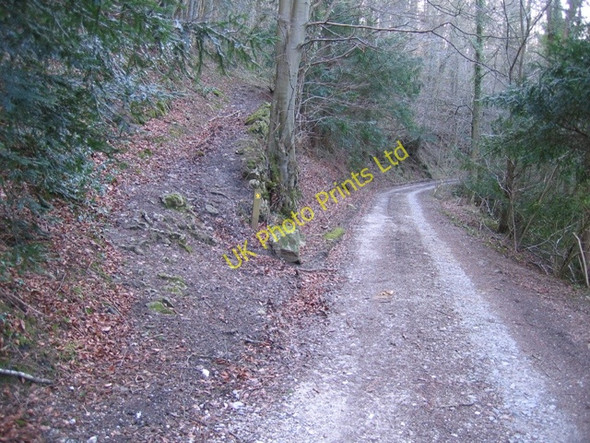 Photo 6"x4" Footpath and Track at Nant Alyn Nant Alyn c2007