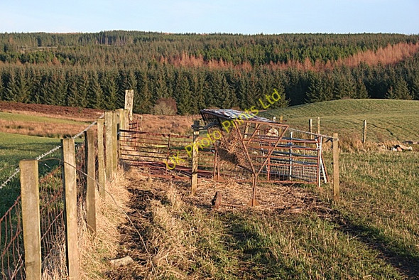 Photo 6"x4" Sheep Feed Hoppers Glen of Newmill c2007