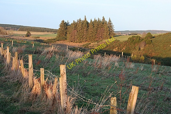 Photo 6"x4" Cross Burn Glen of Newmill c2007