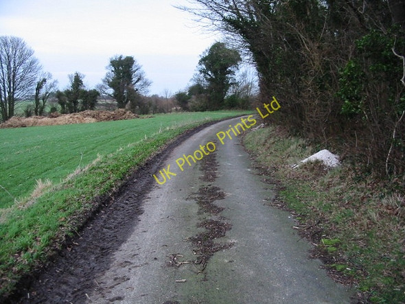 Photo 6"x4" Looking NE along a gated road bordering Eastling Wood. Ashley\/TR3048 c2007