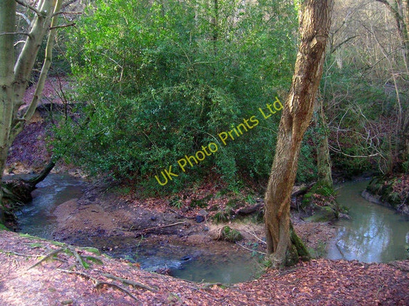 Photo 6"x4" Crowborough Ghyll, Jeffrey's Wood Crowborough\/TQ5130 c2007