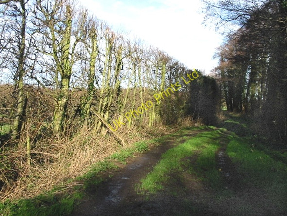 Photo 6"x4" Bridleway from Sheerwater road. Elmstone\/TR2560 c2007