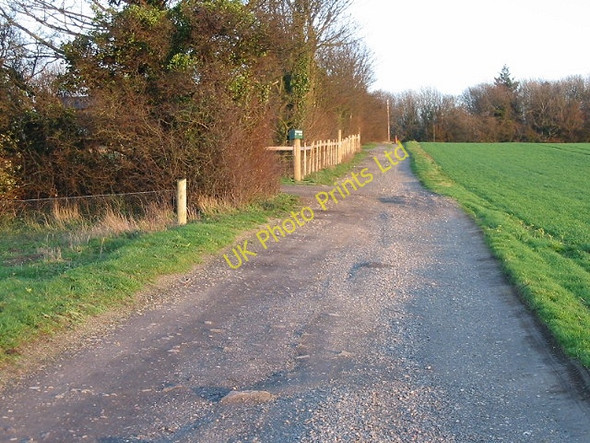 Photo 6"x4" Looking E towards Nine Acre wood on farm track. Tilmanstone c2007