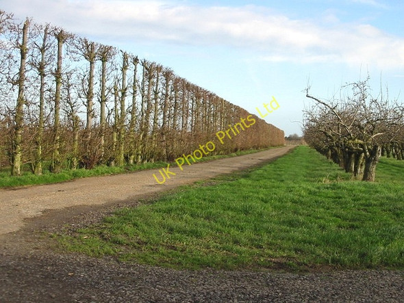 Photo 6"x4" Bridleway running NE from Perry Lane. Perry\/TR2559 c2007