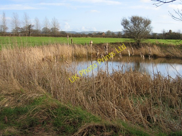 Photo 6"x4" Pond at Hatton Heath Hatton Heath c2007