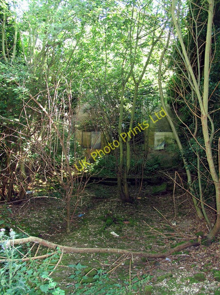 Photo 6"x4" St Michael, Sco Ruston, Norfolk - Ruin Sco Ruston c2005