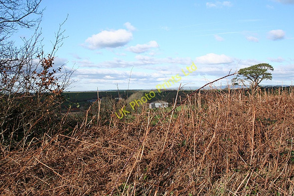 Photo 6"x4" Chulmleigh: by Plain Moor Chulmleigh c2007
