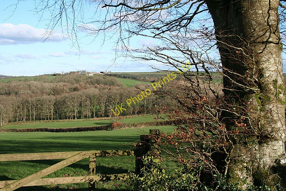 Photo 6"x4" Chulmleigh: near Egilford Cross Cheldon c2007