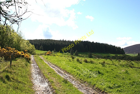 Photo 6"x4" Barry Hill Glenbarry c2007