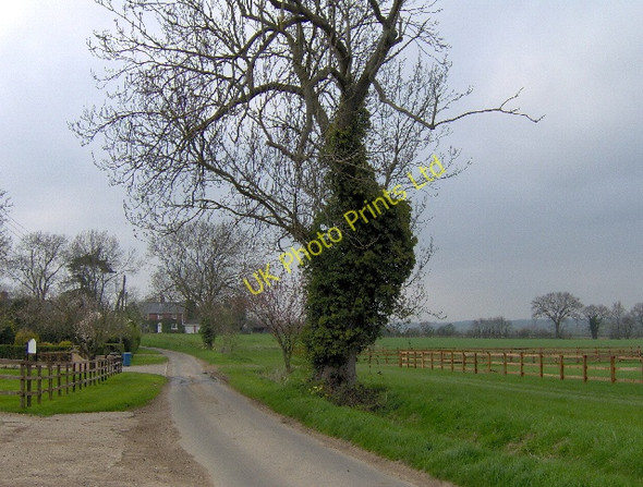 Photo 6"x4" Boyton Hall Equestrian Centre Chelsworth c2006
