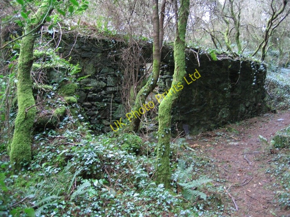 Photo 6"x4" Ruined Cottage in Pentraeth Forest Pentraeth c2007