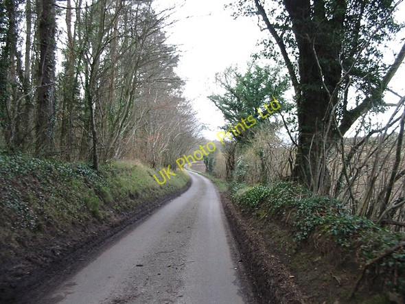 Photo 6"x4" Covet Lane near Kingston. Barham\/TR2050 c2007
