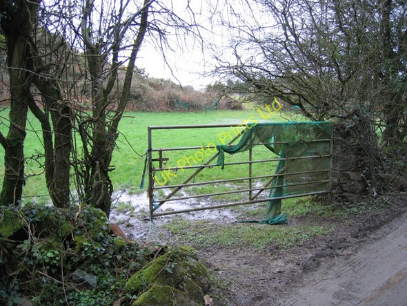 Photo 6"x4" Field and Gate at Hafod-Leci Llanddona c2007