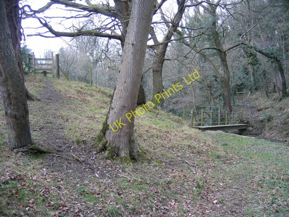 Photo 6"x4" Footbridge over Nant-y-Fflint Flint\/Y Fflint c2007