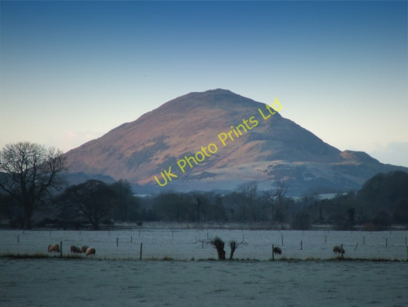 Photo 6"x4" Knockdolian Hill Heronsford c2005