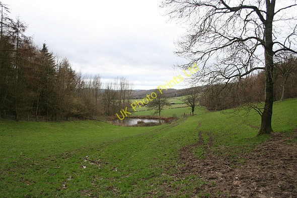 Photo 6"x4" Pool above Lower Vinesend Farm West Malvern c2007