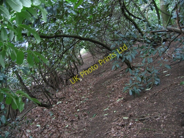 Photo 6"x4" Llwybr Clawdd Wat\/Wat's Dyke Way Flint\/Y Fflint c2007