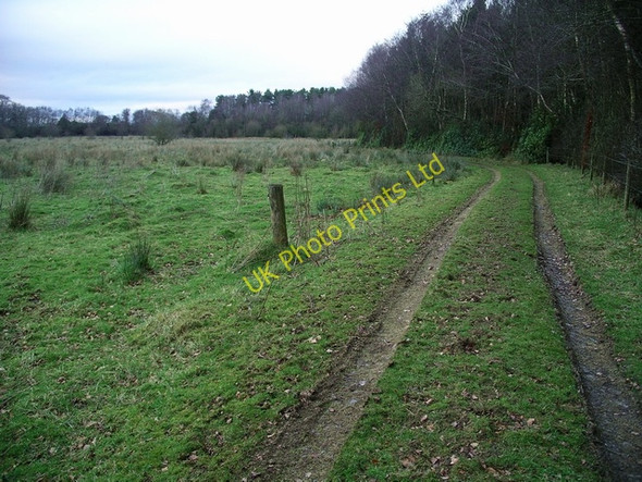 Photo 6"x4" Track beside Kirkhirst Plantation Lochmaben c2007