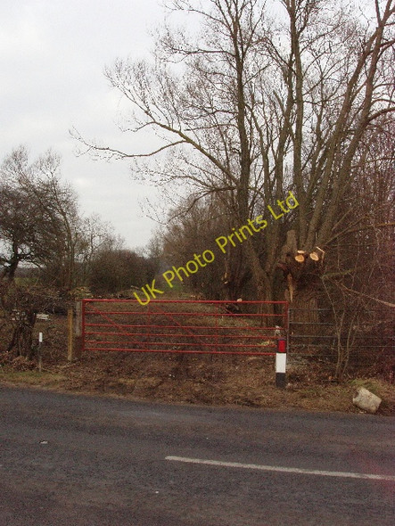 Photo 6"x4" Track at Horspath Cowley\/SP5504 c2007