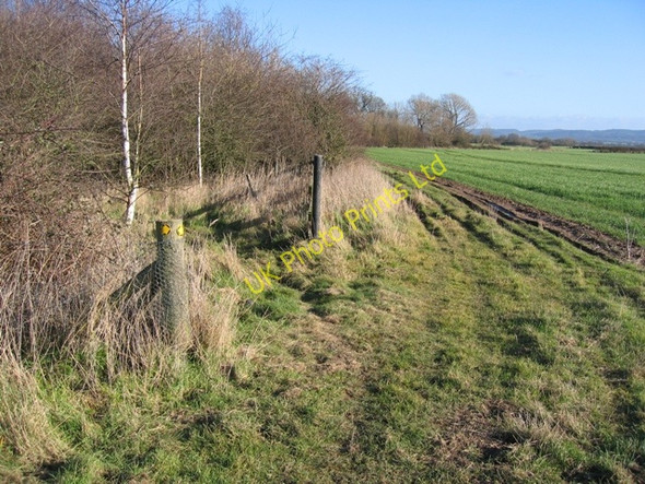 Photo 6"x4" Footpath to Lea Newbold Farm Bruera c2007