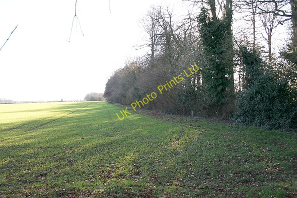 Photo 6"x4" Redshed Belt Edgeworth c2007