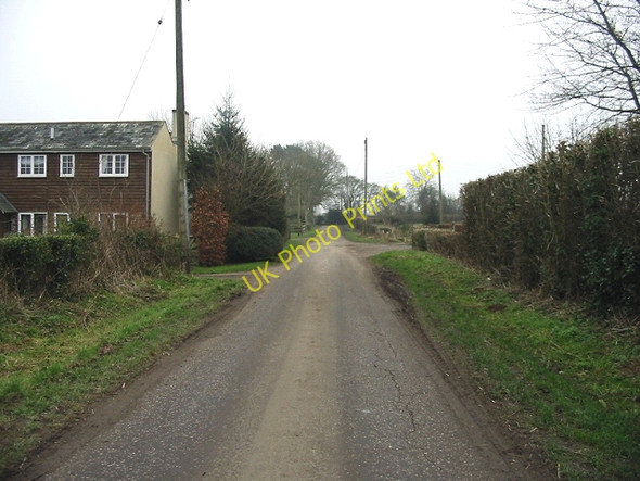 Photo 6"x4" Looking SE along Gate Lane Rhodes Minnis c2007
