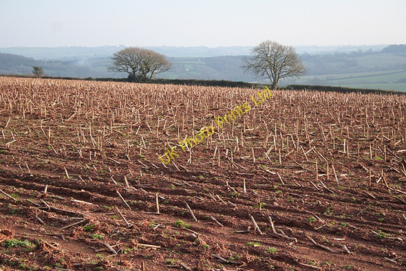 Photo 6"x4" Clannaborough: south east from Bow Nymet Tracey c2007