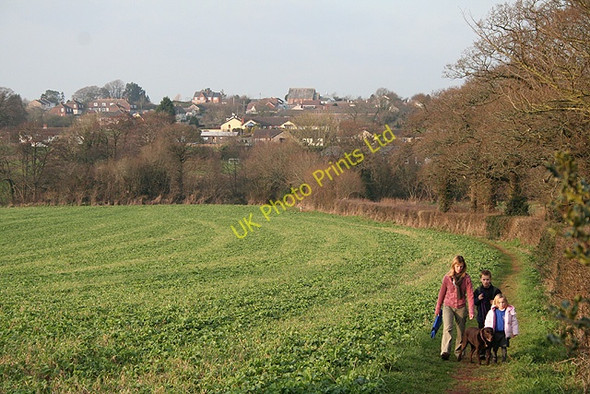 Photo 6"x4" Bow: towards the village Nymet Tracey c2007