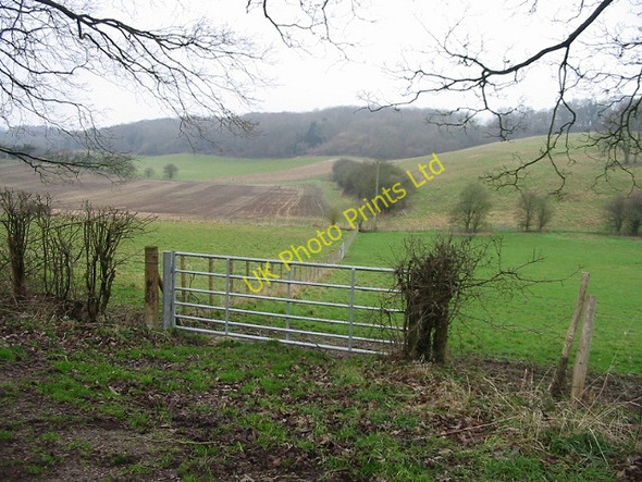 Photo 6"x4" View across Lynsore Bottom Lynsore Bottom c2007