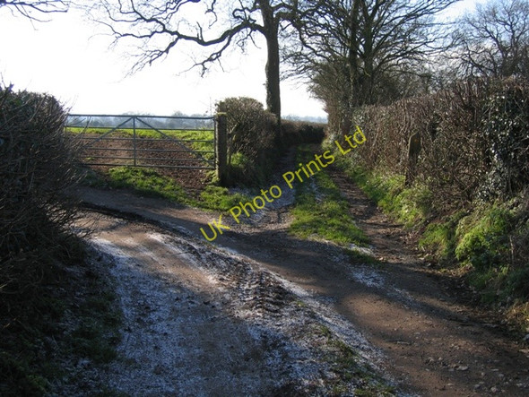 Photo 6"x4" Lane and Footpath Junction in Kelsall Hallowsgate c2007
