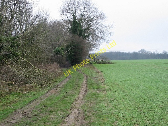 Photo 6"x4" Roman road, near Telegraph Farm Betteshanger c2007