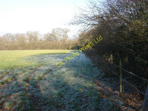 Photo 6"x4" Frosted field on Hinksey Hill Bayworth c2007