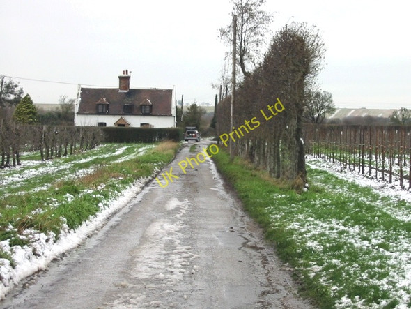 Photo 6"x4" Road to Newborns Farm Grove\/TR2361 c2007