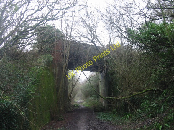 Photo 6"x4" Whetley Bridge and disused rail line Powerstock c2007
