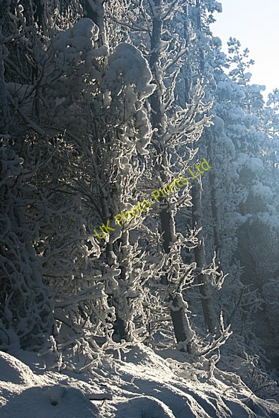 Photo 6"x4" Snow Sculpture Mulben c2007 P1