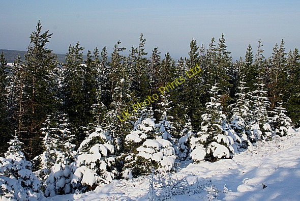 Photo 6"x4" Snow Cover Orton\/NJ3153 c2007
