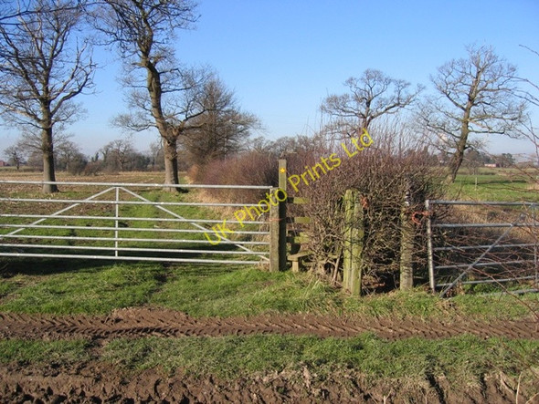 Photo 6"x4" Footpath from Dark Lane to Burwardsley Road Tattenhall c2007
