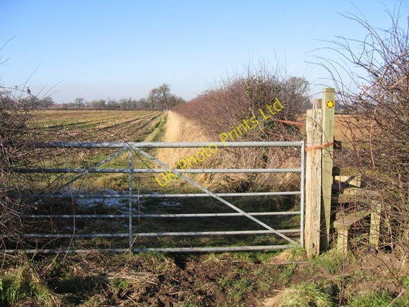 Photo 6"x4" Footpath from Dark Lane to Burwardsley Road Tattenhall c2007 P1