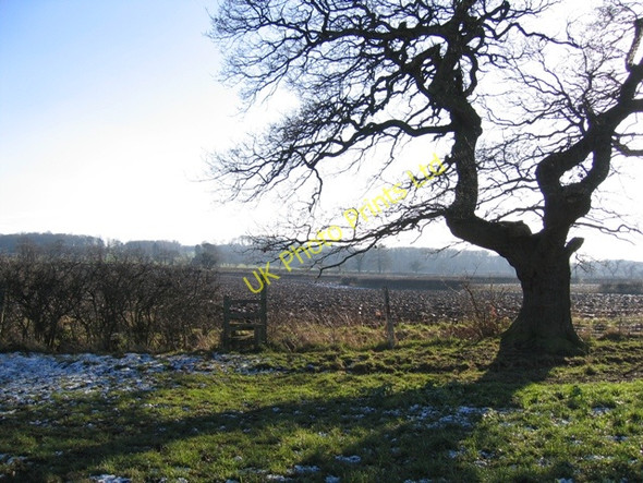 Photo 6"x4" Footpath from Burwardsley Road to Dark Lane #6 Tattenhall c2007