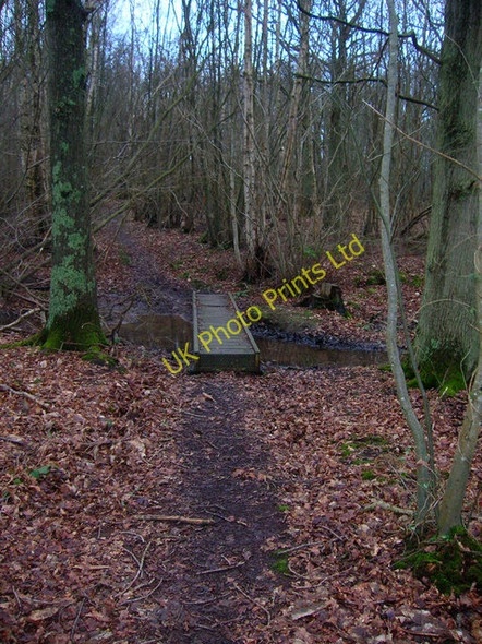 Photo 6"x4" Footbridge, Mill Wood Flackley Ash c2007