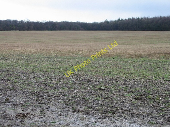 Photo 6"x4" Field of stubble looking towards Ileden Woods Barham\/TR2050 c2007