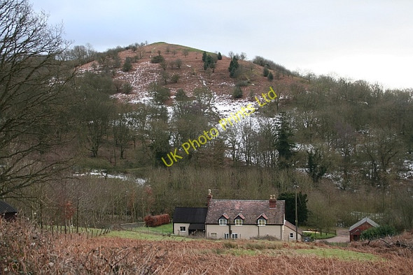 Photo 6"x4" Ragged Stone Hill and Westfields Hollybush\/SO7636 c2007