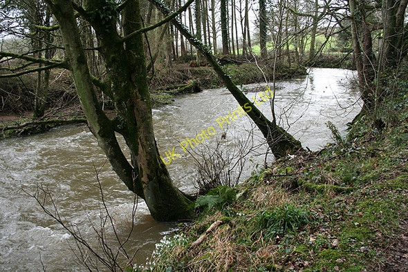Photo 6"x4" Winkleigh: river Taw near Clapper Cross Bondleigh c2007