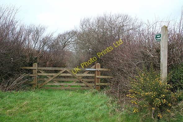 Photo 6"x4" Winkleigh: near Penson Cross Bondleigh c2007